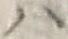 字ハ