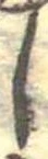𛁅 위치 확인됨