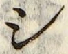 글자 シ