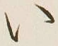 字い