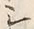 文字シ