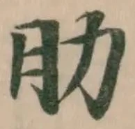 肋 위치 확인됨