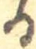 位置 確認된 𛃻