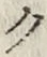 글자 ク