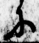 Đã định vị 𛂋