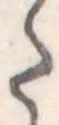 Đã định vị 𛁠