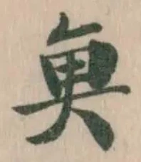 魚 위치 확인됨