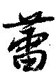 蕾の位置