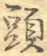 已定位頭