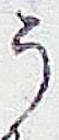 「う」字
