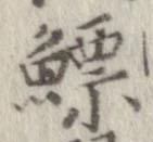 鰾の位置