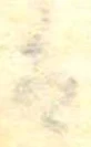 已定位𛂣