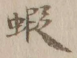 글자 蝦