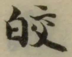 皎の位置
