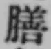 글자 膳