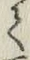 字て