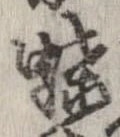 已定位蝶