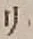 글자 リ