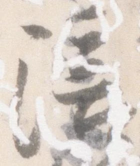 陪 위치 확인됨