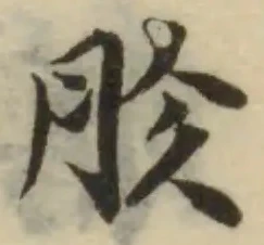 位置定マレル胗