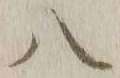 字八