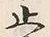 文字止