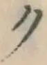 文字ク