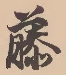 글자 藤