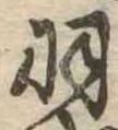 羽 위치 확인됨
