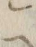 文字レ
