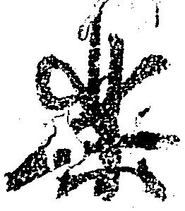 Đã định vị 楽