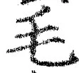 글자 毛