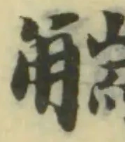 𧤗の位置