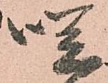 咲 위치 확인됨