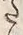 字た