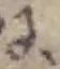 Đã định vị 𛂌