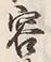 文字容
