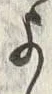 𡨸よ