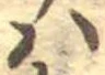 𛂞の位置