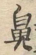 鼻 위치 확인됨