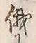 文字俄