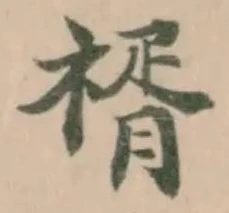 𥚩 위치 확인됨