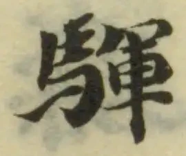 䮝の位置