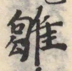 Đã định vị 雛