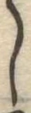 𛁅 위치 확인됨