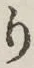 文字 り