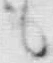 字も