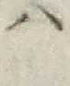 字ハ