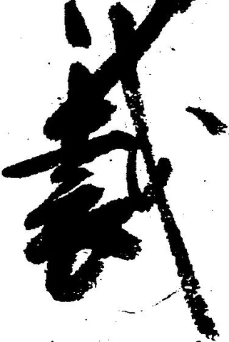 Đã định vị 裁