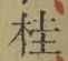 글자 桂